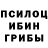 Псилоцибиновые грибы Psilocybe Aida Uzak